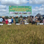 Natuna Sudah Layak Hasilkan Komoditi Pangan Sendiri