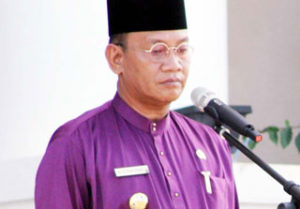 Read more about the article Pelantikan Kepala Desa Tanjung dan Limau Manis Kecamatan Bunguran Timur Laut Masa Bhakti 2014 – 2020