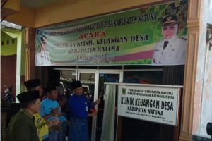 Read more about the article Peresmian Klinik Keuangan Desa Kabupaten Natuna