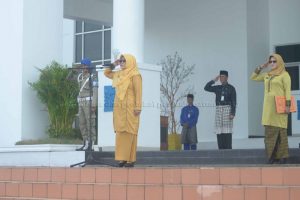 Read more about the article Peringatan Hari Jadi Provinsi Kepulauan Riau Ke–15 Tahun 2017 di Kabupaten Natuna