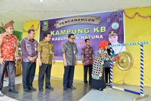 Read more about the article Pencanangan Kampung KB dan Rumah Data Kependudukan di Dusun II Tanjung Sebauk Desa Sedanau Timur Kecamatan Bunguran Batubi