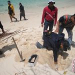 Menteri Susi Perintahkan Tanam Kembali Telor Penyu Di Senoa