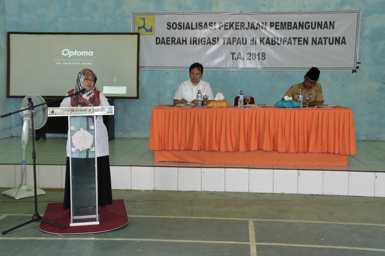 You are currently viewing Wakil Bupati Natuna Harapkan Pembangunan  Irigasi Serap Tenaga Kerja Lokal