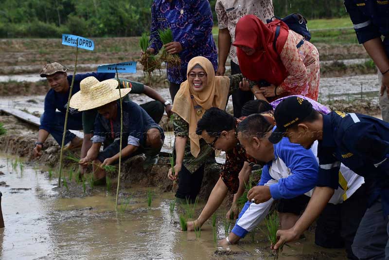 You are currently viewing Wabup Natuna Himbau Petani Gunakan Padi Total Organik MAII untuk Tingkatkan Sektor Pertanian Daerah