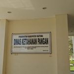 Pentingnya Penganekaragaman Konsumsi Pangan B2SA