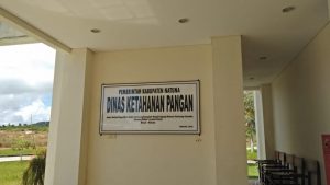 Read more about the article Pentingnya Penganekaragaman Konsumsi Pangan B2SA