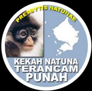 Read more about the article Kekah ( Presbytis Natunae ) , Satwa Endemik Pulau Natuna yang Terancam Punah