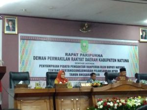 Read more about the article Pemkab Natuna Dianggap Baik Dalam Mengelola Keuangan Daerah