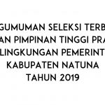 Pengumuman Seleksi Terbuka JPTP di Lingkungan Pemerintah Kabupaten Natuna Tahun 2019
