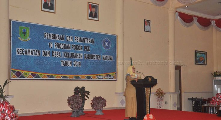 You are currently viewing Wakil Bupati Natuna Harapkan PKK Mampu Jadi Media Peningkatan Kemandirian Kaum Perempuan