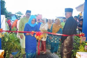 Read more about the article Ketua TP PKK Buka Stand Pameran Natuna Expo