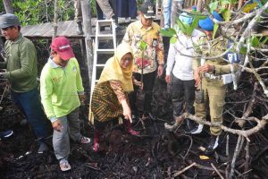 Read more about the article Penanaman Mangrove Wujud Kepedulian Lingkungan Akan Untungkan Masyarakat Tempatan