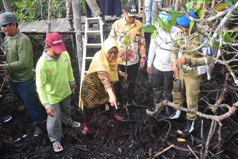 You are currently viewing Penanaman Mangrove Wujud Kepedulian Lingkungan Akan Untungkan Masyarakat Tempatan