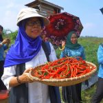 Prestasi Gemilang TP PKK Natuna Berkat Kepiawaian Nurhayati Hamid Rizal