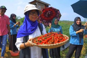 Read more about the article Prestasi Gemilang TP PKK Natuna Berkat Kepiawaian Nurhayati Hamid Rizal