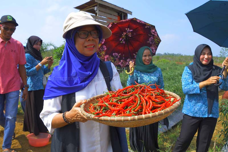 You are currently viewing Prestasi Gemilang TP PKK Natuna Berkat Kepiawaian Nurhayati Hamid Rizal