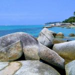 Pemkab Natuna Usul Ajak Jalan-Jalan 238 WNI Sebelum Pulang Karantina