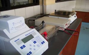 Read more about the article Percepat Hasil Tes Covid-19, Natuna Akan Gunakan Alat Tes PCR