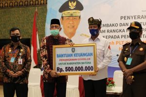 Read more about the article Bupati Hamid Rizal Terima Langsung Bantuan dari Plt. Gubernur Kepri untuk Masyarakat Natuna