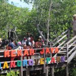 Badan Pengelola Geopark Natuna Buka Acara Festival Mangrove 2020