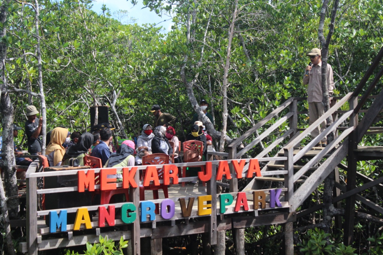 You are currently viewing Badan Pengelola Geopark Natuna Buka Acara Festival Mangrove 2020