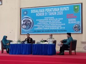 Read more about the article Sebagai Mitra Pemerintah TP-PKK Kabupaten Natuna Sosialisasi Perbub 51 Tahun 2020