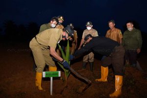 Read more about the article Pjs. Gubernur Kepri Realisasikan Program Penanaman Satu Milyar Pohon Kelapa