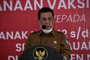 Read more about the article Gubernur Kepri : Mari Kita Bangkitkan Kembali Sektor Ekonomi Melalui Industrialisasi Lokal.