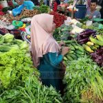 Pemprov Kepri Optimis Pemulihan Ekonomi Kepri