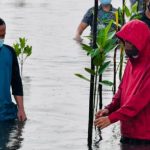 Jokowi Respon Permintaan Ansar – FTZ Menyeluruh di Bintan dan Karimun