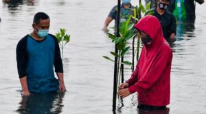 Read more about the article Jokowi Respon Permintaan Ansar – FTZ Menyeluruh di Bintan dan Karimun