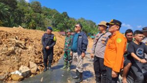 Read more about the article Bupati Natuna Apresiasi Kinerja PLN Pulihkan Sistem  Kelistrikan Serasan dan Serasan Timur Pasca Longsor