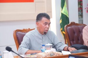 Read more about the article Bupati Natuna Launching 3 Inovasi Proyek Perubahan Pimpinan OPD