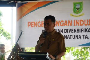 Read more about the article Pemda Natuna Gelar Pelatihan Diversifikasi Produk bagi Perempuan Pelaku Industri Rumahan(IR)
