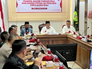 Read more about the article Bupati Natuna Hadiri Rakor Forkopimda dan Pemerintah Daerah Kab/Kota Se-Prov Kepri