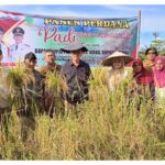 Panen Perdana Padi Desa Payak, Bupati Natuna : Mari Kita Dorong Kemandirian Pangan