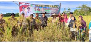 Read more about the article Panen Perdana Padi Desa Payak, Bupati Natuna : Mari Kita Dorong Kemandirian Pangan