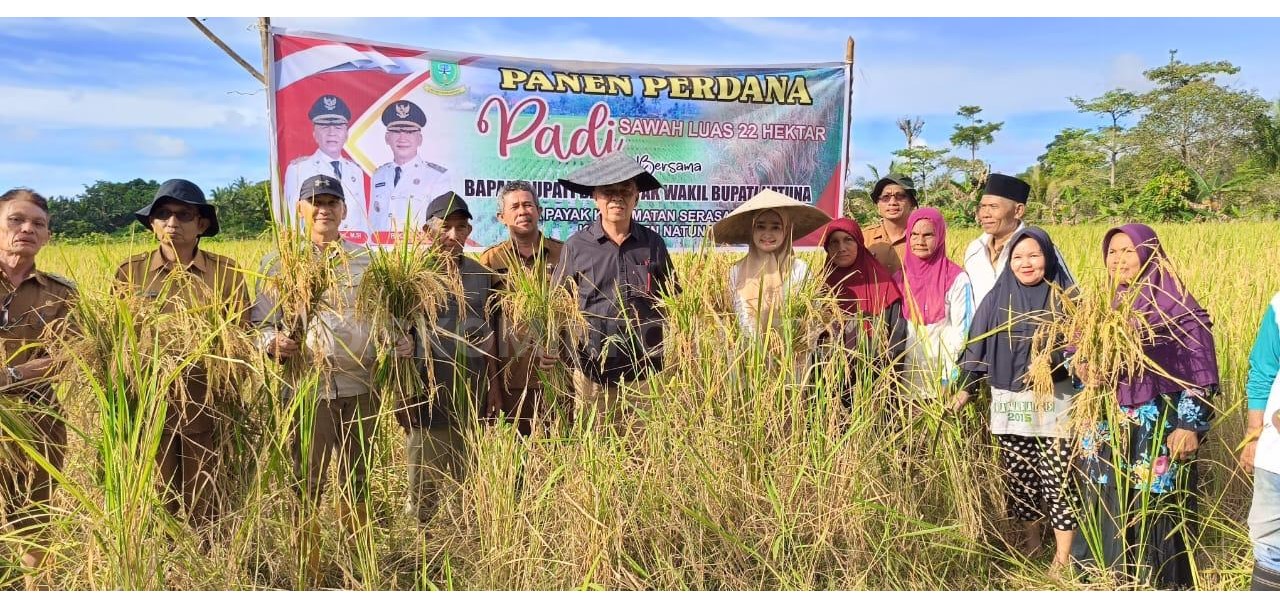 You are currently viewing Panen Perdana Padi Desa Payak, Bupati Natuna : Mari Kita Dorong Kemandirian Pangan
