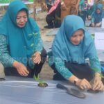 TP PKK Kabupaten Natuna Sukses Gelar Gerakan Penanaman Cabai Serentak se-Indonesia