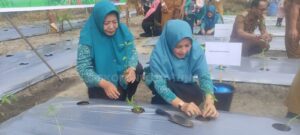 Read more about the article TP PKK Kabupaten Natuna Sukses Gelar Gerakan Penanaman Cabai Serentak se-Indonesia
