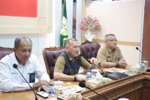 Read more about the article Audiensi General Manager PT. PLN(Persero) Unit lnduk Distribusi Riau dan Kepulauan Riau bersama Pemerintah Kabupaten Natuna dan Forum Koordinasi Pimpinan Daerah (FORKOPIMDA) Kabupaten Natuna