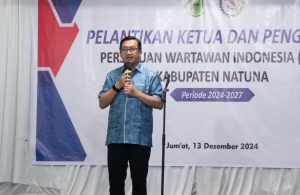 Read more about the article Sekda Natuna Hadiri Pelantikan PWI Natuna Periode 2024-2027
