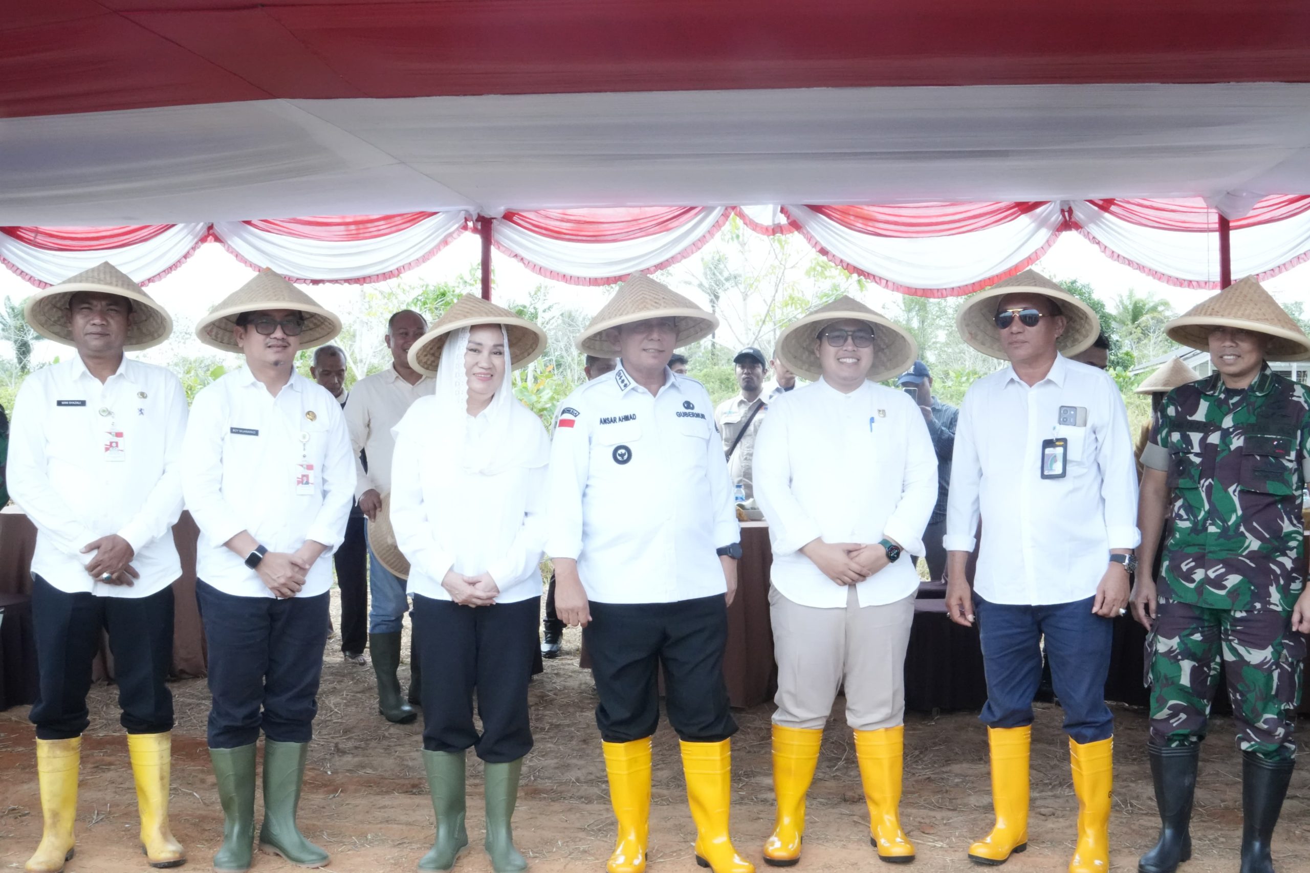 Gubernur Kepri Lakukan Penanaman Padi Perdana di Kabupaten Natuna