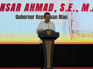 Read more about the article DPR RI Paparkan Urgensi Pemekaran Wilayah Kepulauan Natuna-Anambas Dalam Diskusi Publik