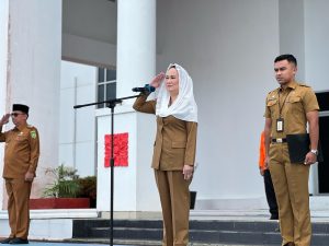 Read more about the article Apel Bersama dan Silaturahmi Halal Bihalal Idul Fitri Pemkab Natuna.