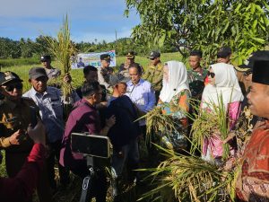 Read more about the article Bupati Natuna Cen Sui Lan Panen Raya di Desa Payak Serasan Timur.