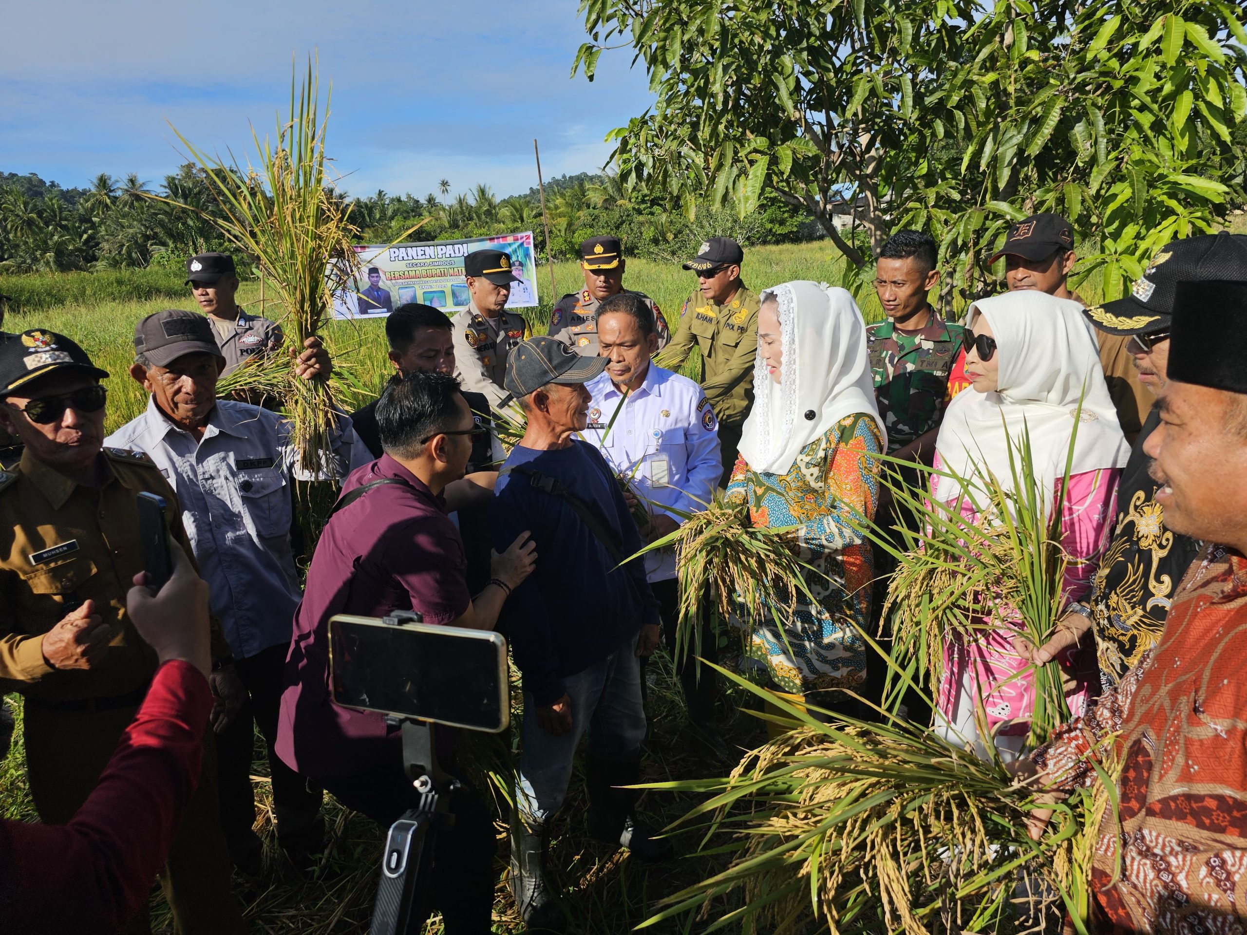 Bupati Natuna Cen Sui Lan Panen Raya di Desa Payak Serasan Timur.