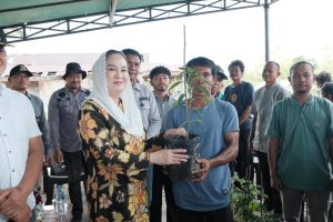 Read more about the article Dorong Produk Agraria Natuna, Bupati Cen Sui Lan Serahkan Bantuan Bibit