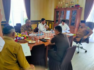 Read more about the article Wakil Bupati Natuna Tegaskan Netralitas dan Kondusivitas pada Pemilihan Kepala Desa PAW Desa Cemaga