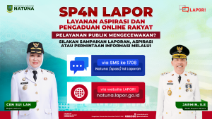 Read more about the article SP4N-LAPOR